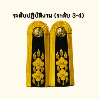 ⭐️อินทรธนูข้าราชการ บ่าชุดขาวปกติ ราคาถูก⭐️