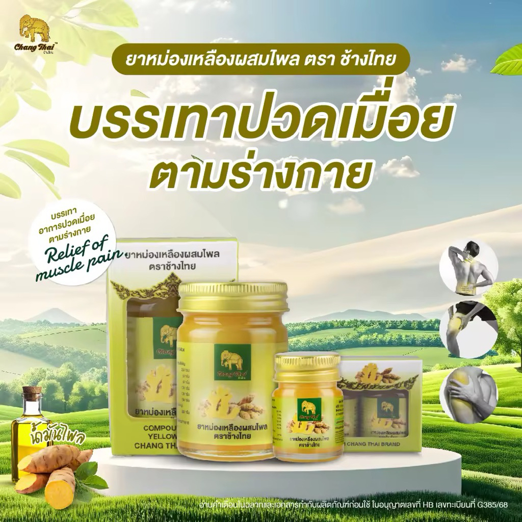 ยาหม่องสีเหลืองผสมไพร ตราช้างไทย บรรเทาอาการปวดเมื่อยตามร่างกาย ฟกช้ำ เคล็ด ขัด ยอก
