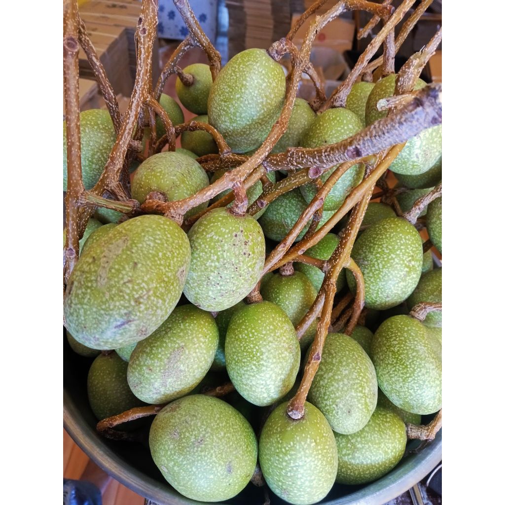 มะกอกใส่ส้มตำมะกอกป่ามะกอกดิบใส่ส้มตำได้เหมือนแบบสุกอร่อยมาก1กก