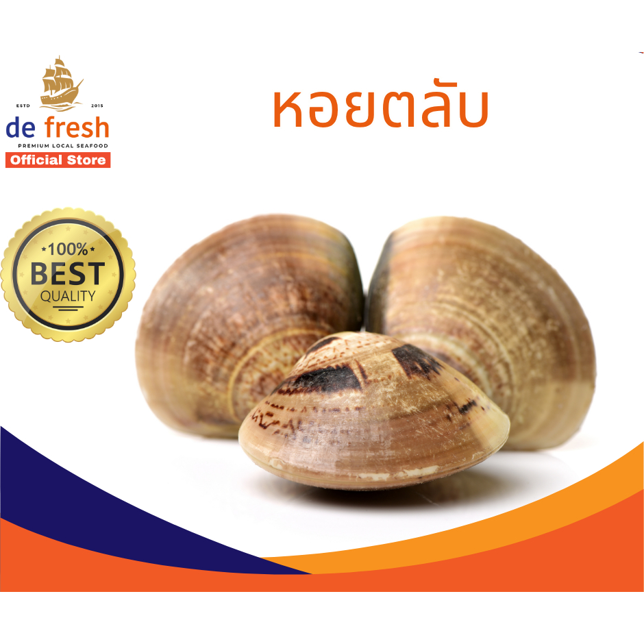 หอยตลับสดแช่แข็ง จัมโบ้!! 1กก. 2กก. #หอยตลับ #defresh #อาหารทะเล