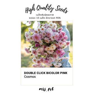เมล็ดดอกไม้กินได้คอสมอส Cosmos Double Click Bicolor Pink รหั…