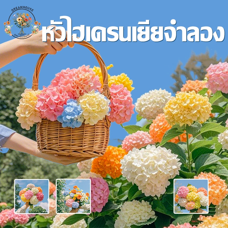 ดอกไฮเดรนเยียประดิษฐ์  คุณภาพสูง สําหรับตกแต่งบ้าน สําหรับตกแต่งงานแต่งงาน ปาร์ตี้
