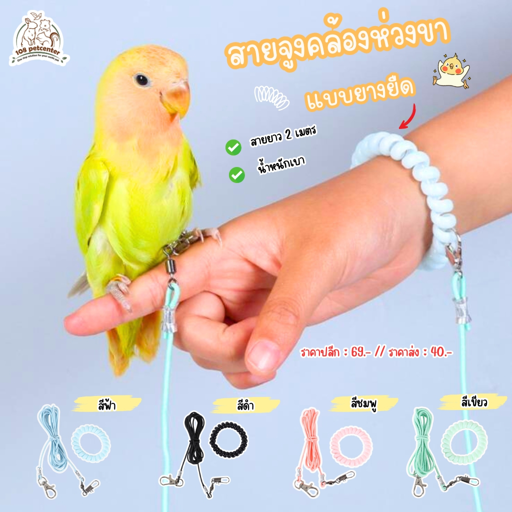 สายจูงนก สายจูงนกยางยืด แบบคล้องกับห่วงขา ความยาว 2 เมตร สายจูงนกแก้วขนาดเล็ก สายจูงนกแก้ว