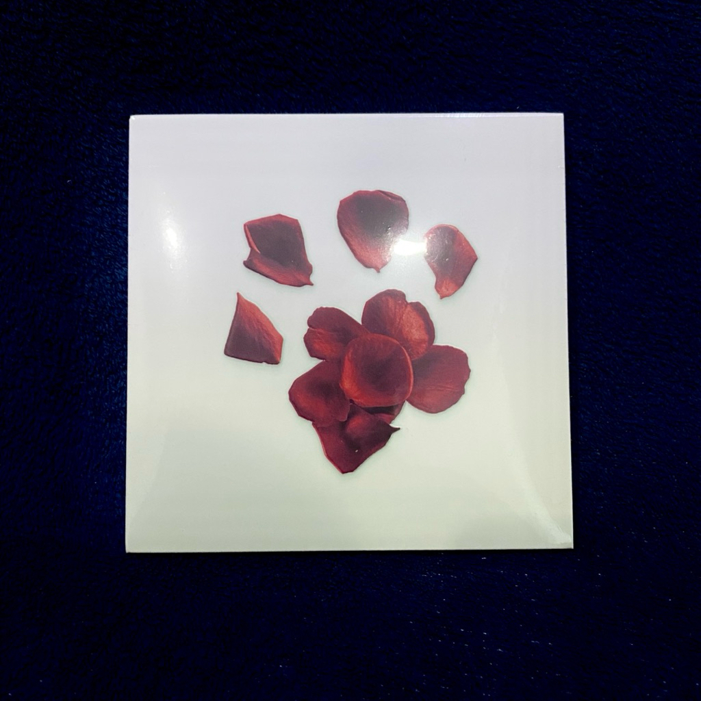 Yented - CD (ซีดี) Album : URDAWG