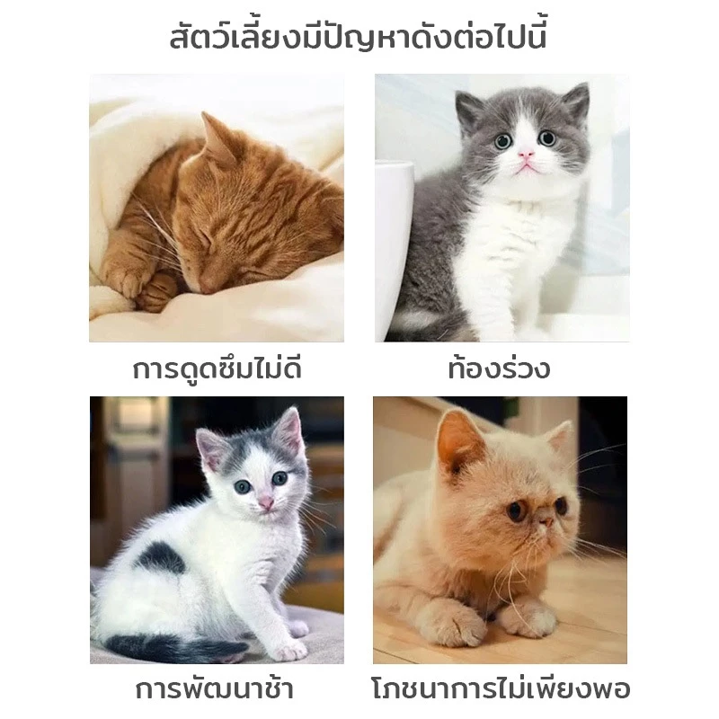 ผงนมแพะสำหรับสุนัขและแมว 200g thumbnail 7