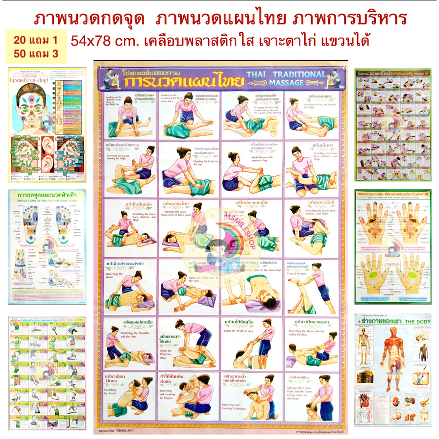 ภาพนวดกดจุด ภาพนวดแผนไทย โปสเตอร์การนวด ภาพสื่อการสอนเด็ก ขั้นต่ำ 3 แผ่น 20แถม1  50แถม3
