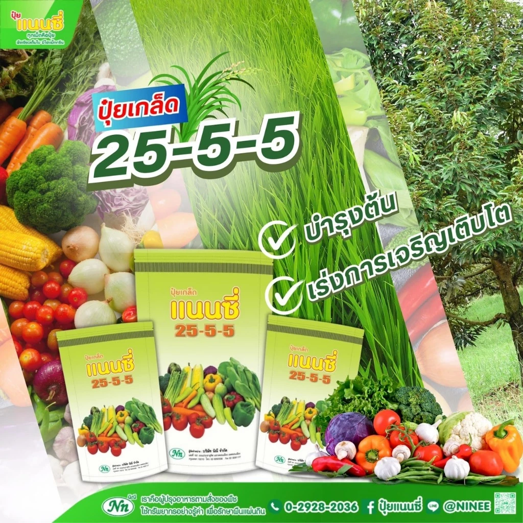 25-5-5 ( ปุ๋ยเย็น ) ปุ๋ยเกล็ด ฮอร์โมน อาหารเสริม เร่งต้น เขียว ฉีดได้กับทุกพืช ผัก ผักทานใบทุกชนิด ข้าว ( 1 กิโลกรัม )