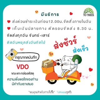 Totrees ผ้าตาไก่ดิ้นทอง ห่อสังฆทาน ห่อขันหมาก ห่อสินสอด ห่อของชำรวย ขนาด 1เมตร x 70ซม มีให้เลือก 3 สี รหัส ผ้า