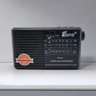 "พร้อมส่ง" วิทยุ/ลำโพงบลูทูธ MP3 (FP-813) ขนาดพกพาสุดคุ้ม!! พกพาสะดวก แถมฟรี สายชาร์จ