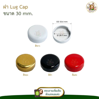 เฉพาะฝา‼️ฝาเกลียวล็อค 30-53 mm. ✅ (SET 5 ชิ้น) หลายสี