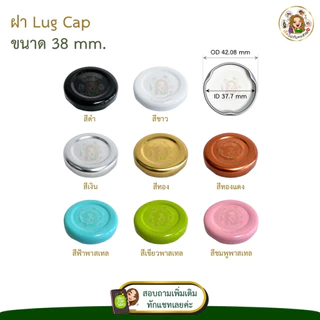 เฉพาะฝา‼️ฝาเกลียวล็อค 30-53 mm. ✅ (SET 5 ชิ้น) หลายสี