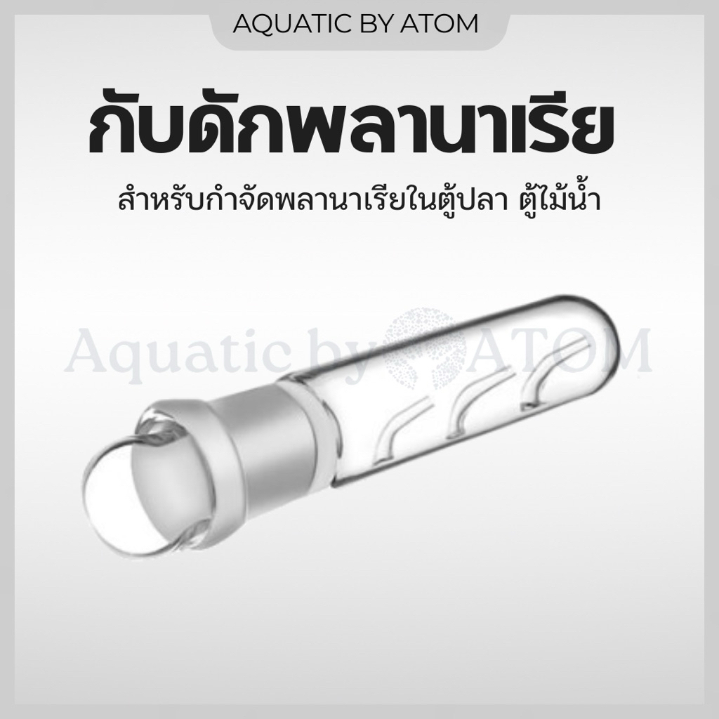 (พร้อมส่ง) กับดักพลานาเรีย ที่ดักพลานาเรีย สำหรับกำจัดพลานาเรียในตู้ปลา ตู้ไม้น้ำ