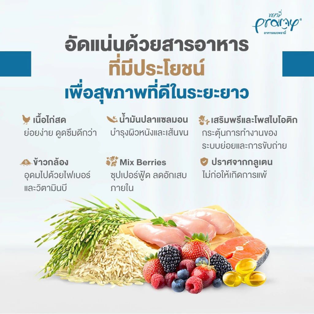 Pramy Feline Solutions อาหารแมวสูตรเฉพาะทาง พัฒนาโดยสัตวแพทย์ ตอบโจทย์น้องแมวที่มีปัญหาสุขภาพ