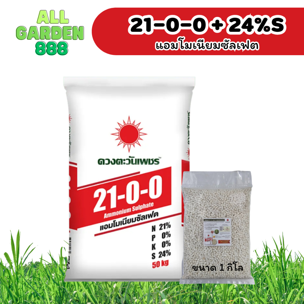 แอมโมเนียมซัลเฟต 21-0-0+24%S ดวงตะวันเพชร เร่งเขียว เร่งใบ ต้นโตไว 1กิโล
