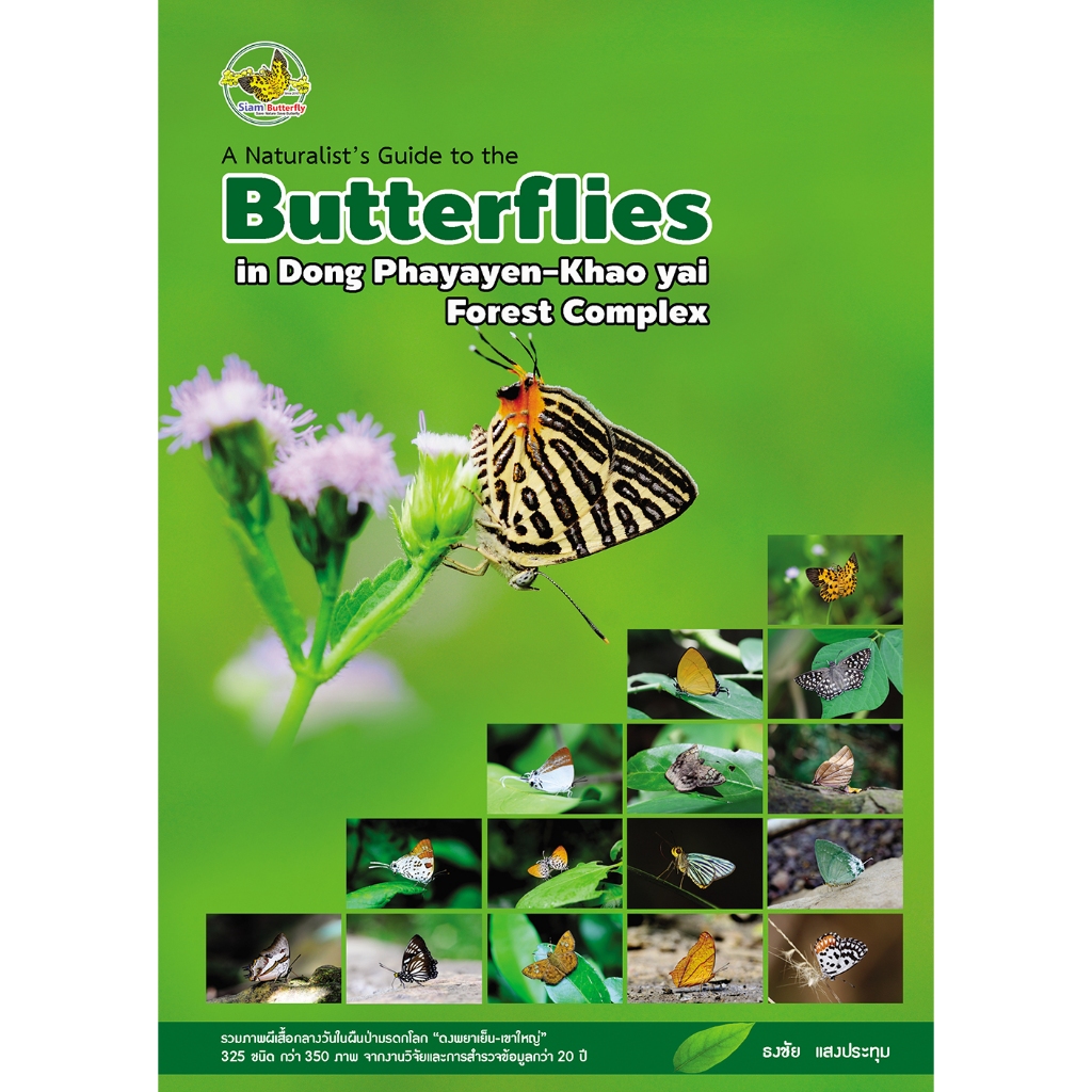 Butterflies of Dongprayayen-Khaoyai Forest Complex ผีเสื้ัอกลางวัน ผืนป่ามรดกโลก "ดงพญาเย็น-เขาใหญ่"