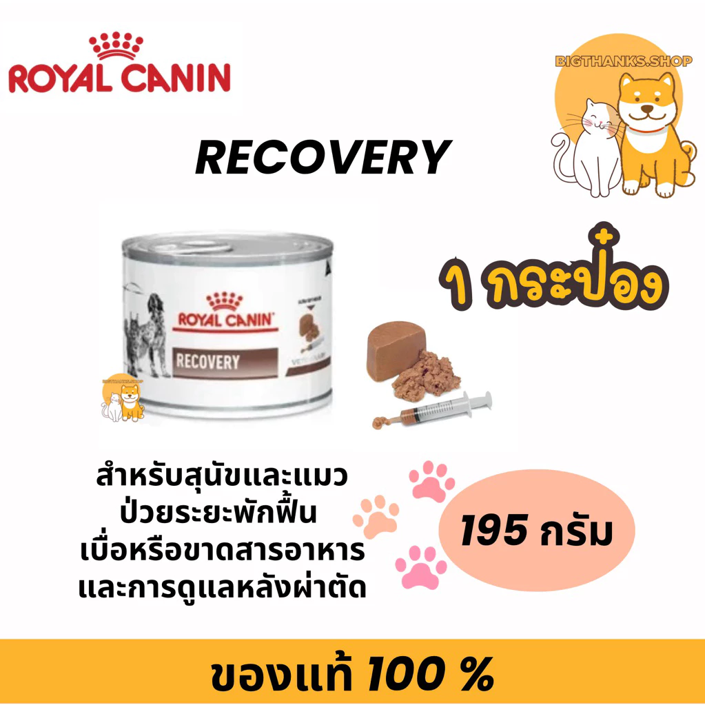 (( 1 กป.)) Royal canin Recovery 195 g. สำหรับ สุนัขแมว สัตว์ป่วยพักฟื้น exp 04/27