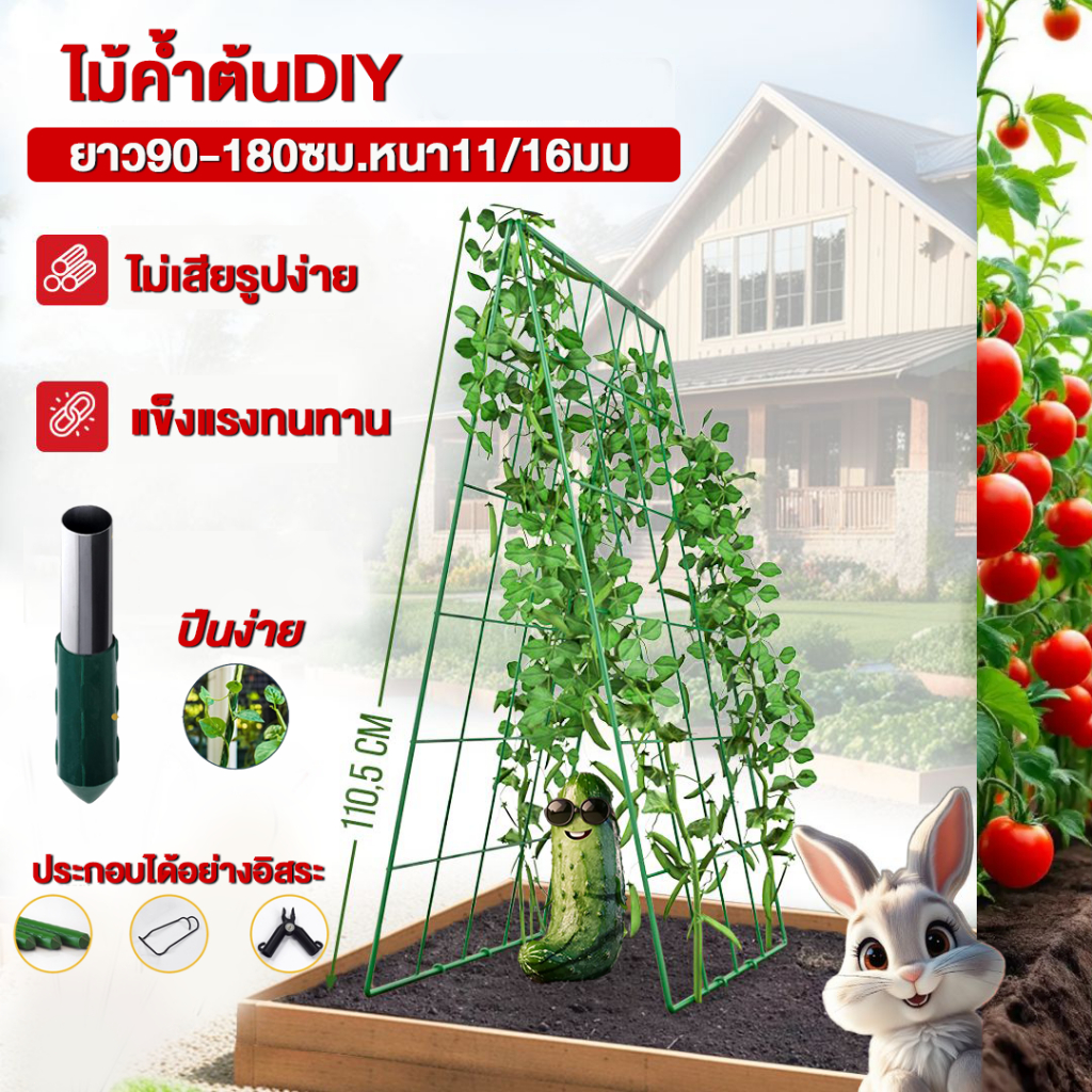 ไม้ค้ำต้นDIY โครงปลูกผัก ซุ้มเลื้อย ยาว90-180ซม.หนา11/16มม.ยันต้น ค้างต้น ผัก ซุ้ม