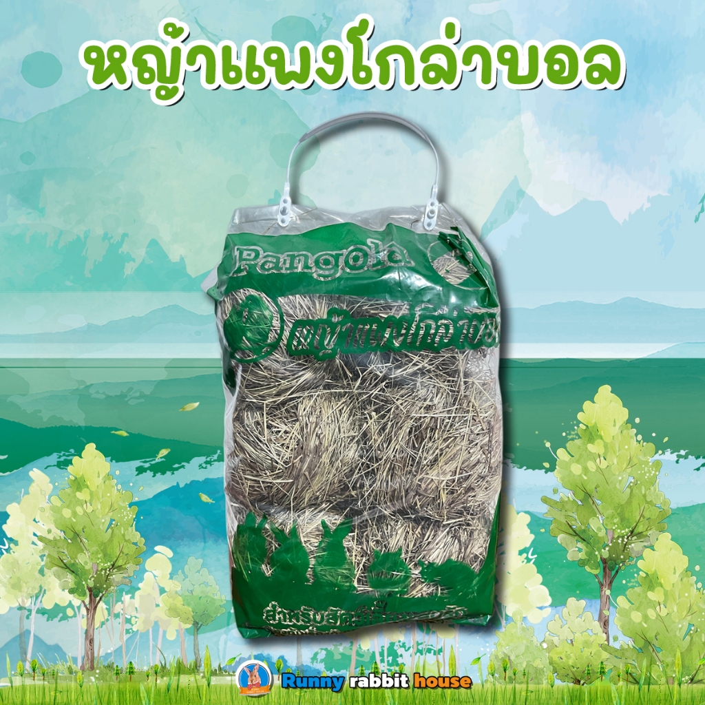 หญ้าแพงโกล่าบอล สำหรับ กระต่าย แกสบี้ และสัตว์กินหญ้า (ร้านคนไทย)