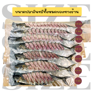 (ซีลแยกชิ้นฟรี) ปลาอินทรีเค็มหอม แบรนด์หอมปลาอินทรี "Premium Set" ผ่าน อย.ถูกต้อง ✅