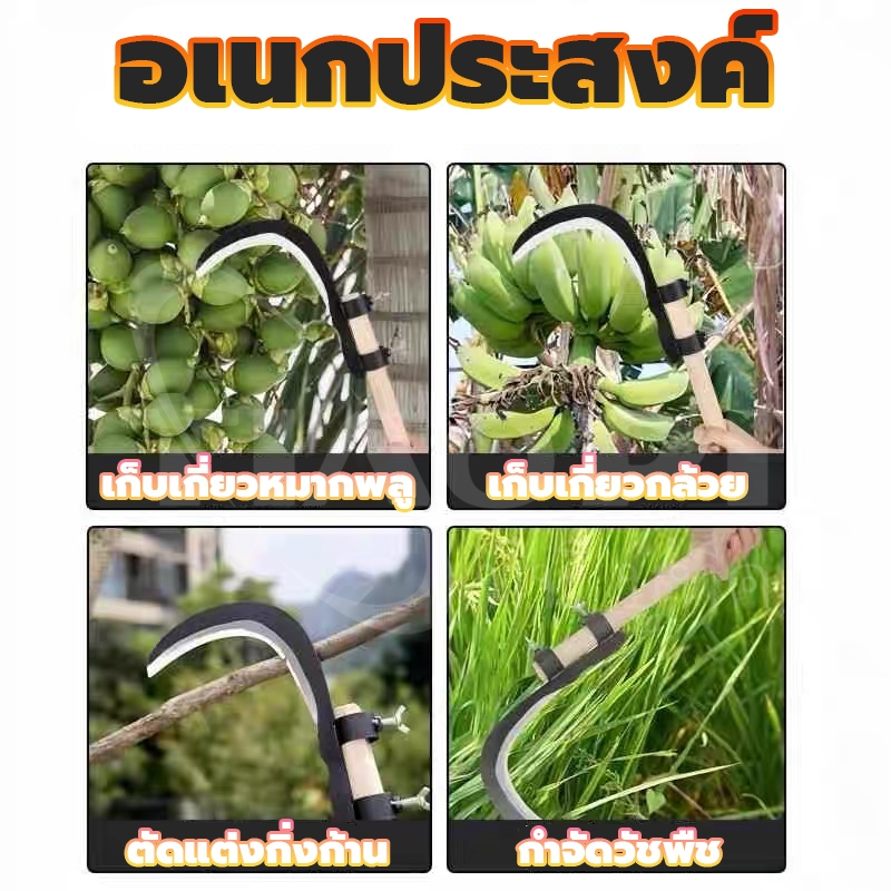 🇩🇪เยอรมันผลิต มีดขอ เคียว เกี่ยวผลไม้บนที่สูง ไม่ต้องปีน เสี่ยงอันตราย เหล็กแมงกานีส หนา คม ทนทาน COD พร้อมส่ง - รูปที่ 5