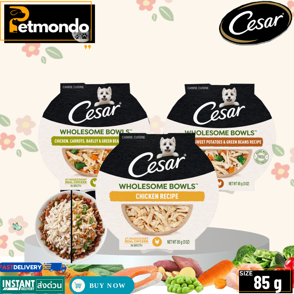 Cesar wholesome bowls ซีซาร์ โฮลซัม โบวล์ อาหารเปียกสำหรับสุนัข อายุ 1ปีขึ้นไป ขนาด 85g.