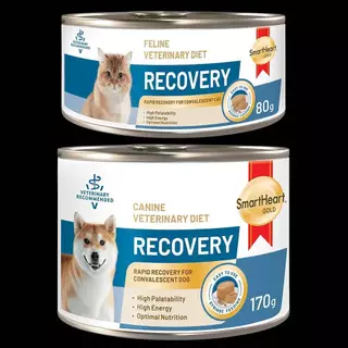 โปรดอ่านก่อนสั่ง (ยกลัง) Smartheart Gold Recovery 80/170g สุนัขและแมว อาหารเปียก สัตว์ป่วย พักฟื้น