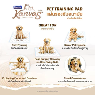 Kanvas แคนวาส แผ่นรองซับ สำหรับสัตว์เลี้ยง ยับยั้งแบคทีเรีย ป้องกันการซึมเปื้อน 5 ชั้น ซึมซับเร็ว ควบคุมกลิ่น
