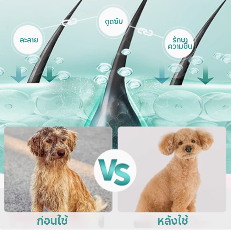 แชมพูสุนัข แชมพูแมว ดับกลิ่น 200ml/500ml สะอาดและ สูตรอ่อน อาบน้ําแมว อาบน้ําแมว ของใช้แมว ราคา ถูกที่สุด ดีลบีเคเค แกลเลอรีภาพที่ 2