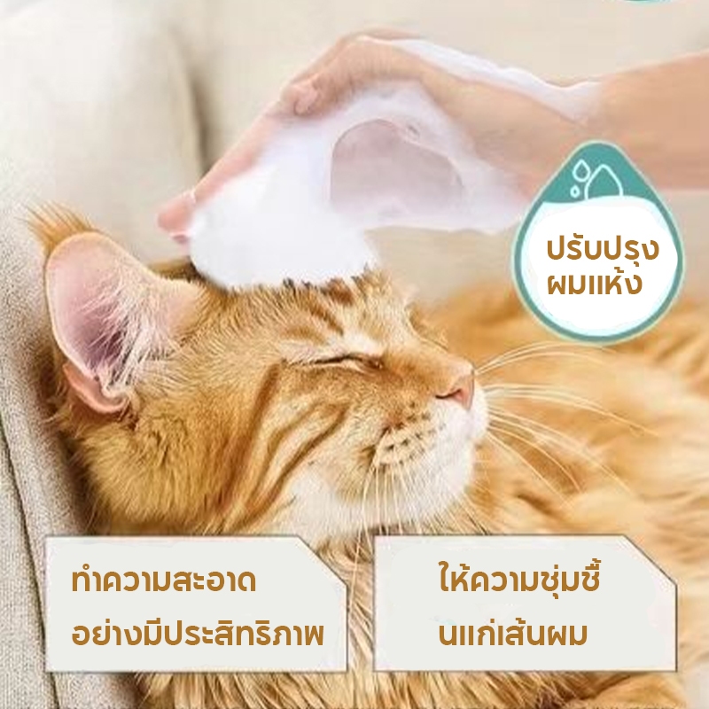 แชมพูสุนัข แชมพูแมว ดับกลิ่น 200ml/500ml สะอาดและ สูตรอ่อน อาบน้ําแมว อาบน้ําแมว ของใช้แมว ราคา ถูกที่สุด ดีลบีเคเค แกลเลอรีภาพที่ 4