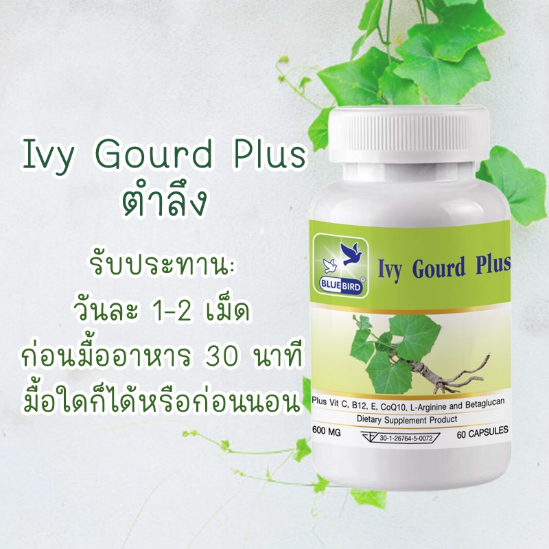 ตำลึง พลัส Ivy Gourd Plus ตรา บลูเบิร์ด 600 มิลลิกรัม 60 แคปซูล ราคา ถูกที่สุด ดีลบีเคเค แกลเลอรีภาพที่ 2