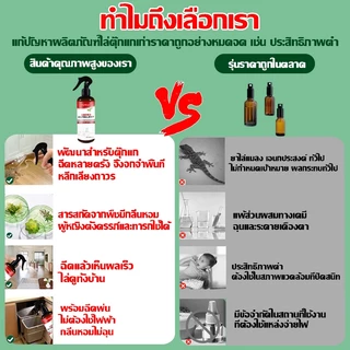 🦎ฉีดปุ๊บ ตุ๊กแกหายปั๊บ🦎สเปรย์ไล่จิ้งจก ไล่ตุ๊กแก กําจัดจิงจก สูตรธรรมชาติ สมุนไพรไล่จิ้งจก 330 ml