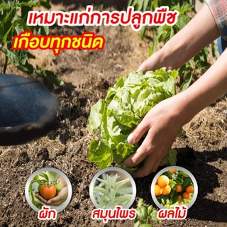 SGE ผ้าคลุมวัชพืช แบบวงกลม รุ่น CSC ผลิตจากวัสดุรีไซเคิลที่มีความเหนียวหนาพิเศษ ส่งไว ส่งถูกที่สุด!!
