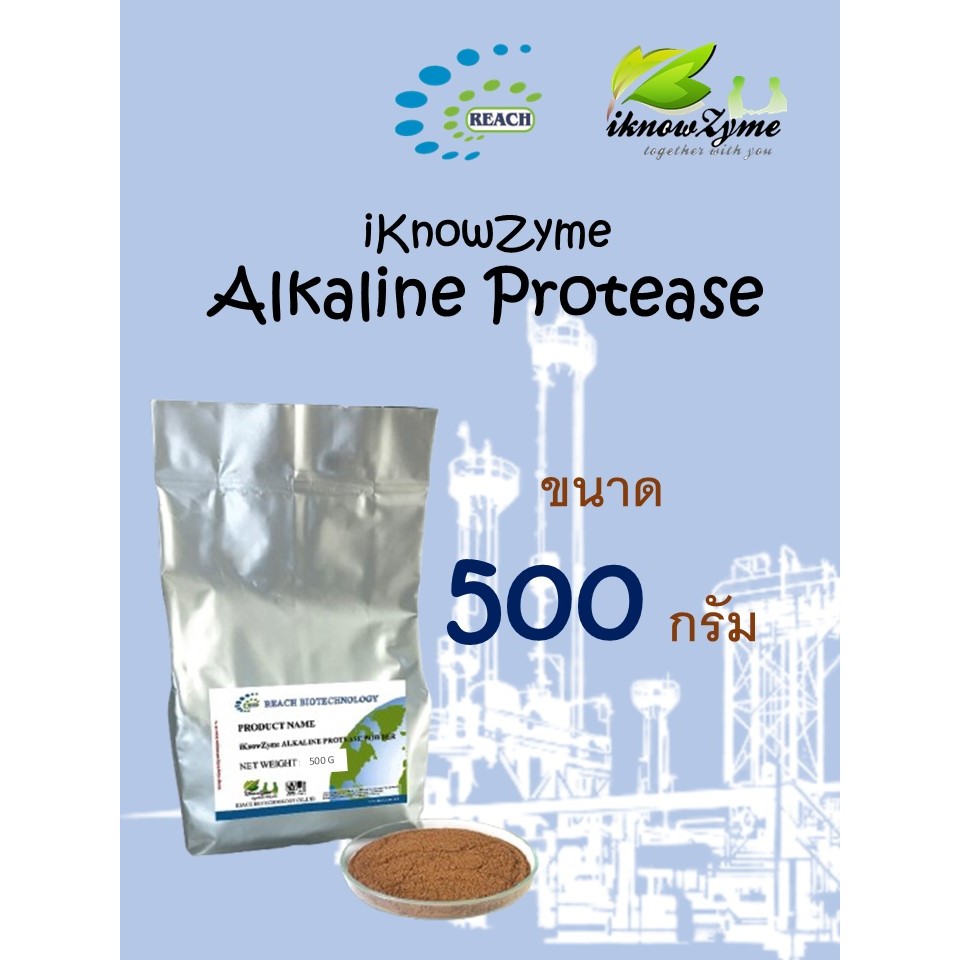 iKnowZyme Alkaline Protease Powder  เอนไซม์ อัลคาไลน์โปรตีเอส  ขนาด 500 กรัม