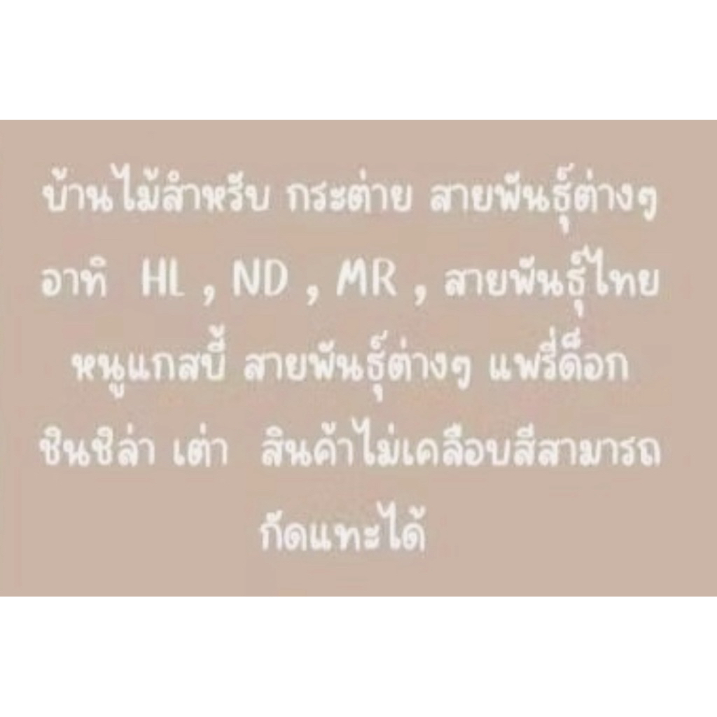 บ้านกระต่ายมีรางหญ้า บ้านกระต่าย สัตว์เลี้ยงแสนน่ารัก ขนาด กว้าง22*ยาว32*สูง23 ซม. รูปที่ 4
