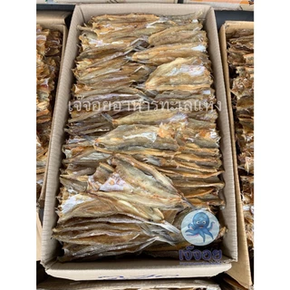 ปลาช่อนทะเล ปลาไล้กอ ตากแห้ง น้ำหนัก 500 กรัม (ครึ่งกิโลกรัม)