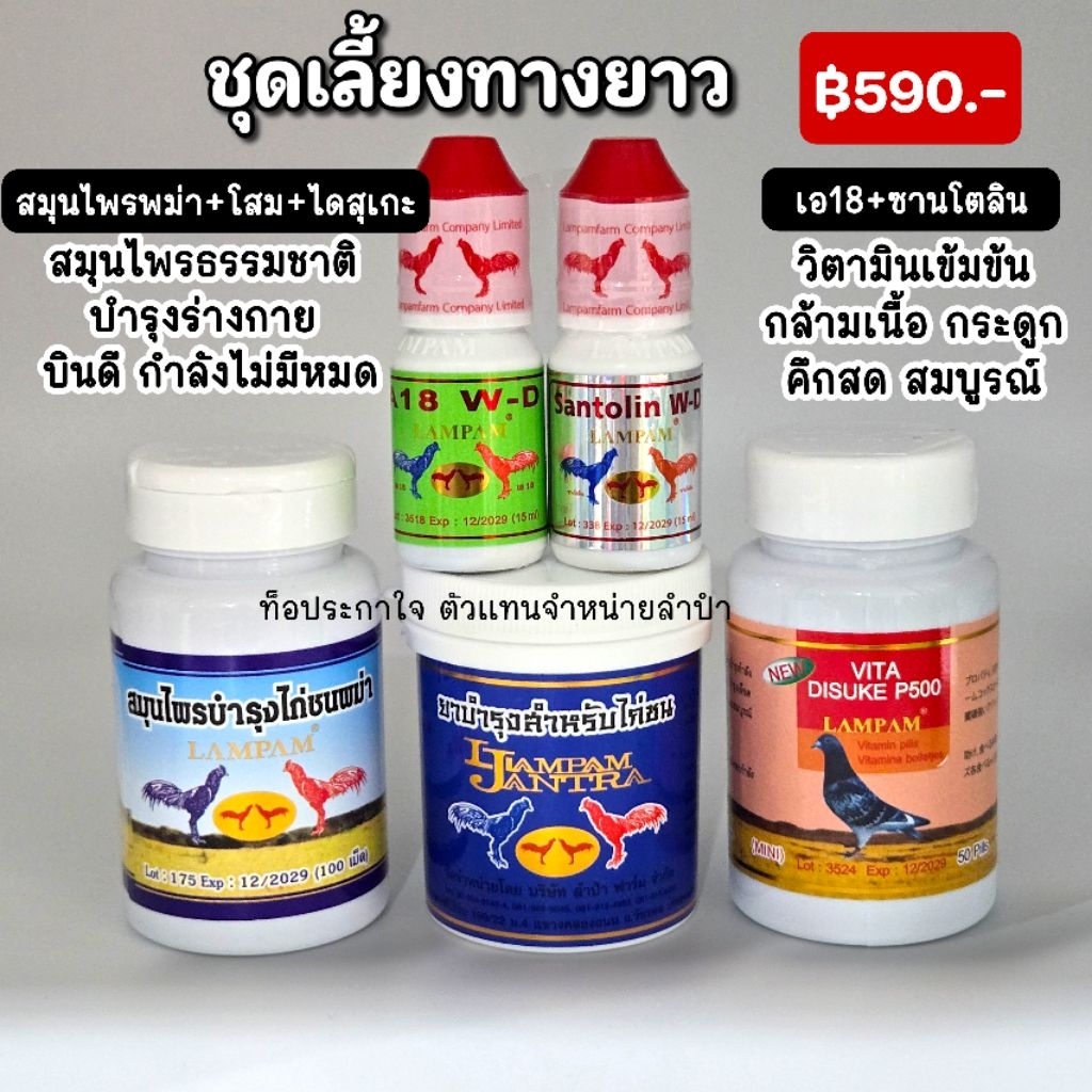 LAMPAM ลำปำ ชุดเลี้ยงทางยาว