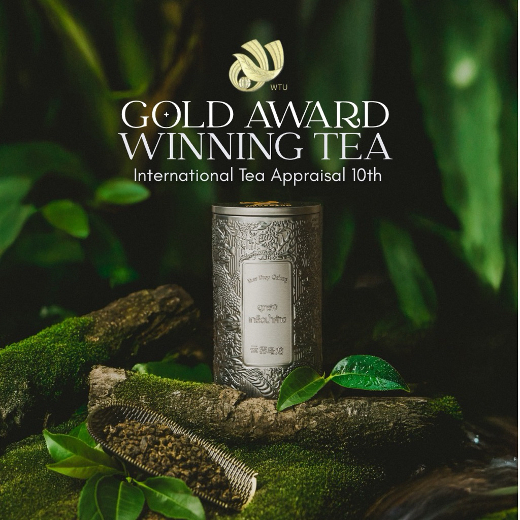 ชาอู่หลงเกล็ดน้ำค้างออแกนิค Dew-Drop Oolong Tea ชาเกล็ดน้ำค้าง ชาน้ำค้าง-ตรา ชาไทยมรกต ใบชาโชคจำเริญ