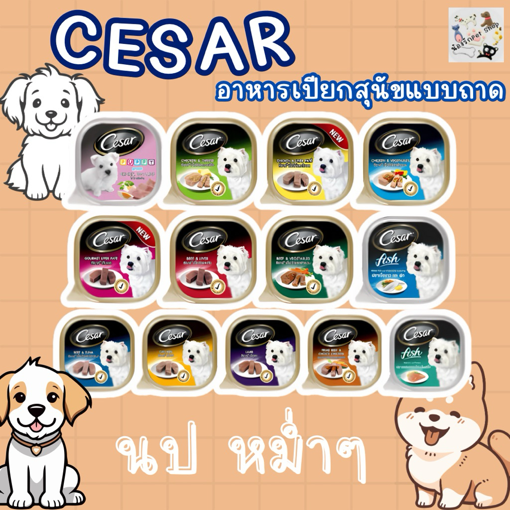 CESAR(ซีซ่าร์) อาหารเปียกสำหรับสุนัข 100 g