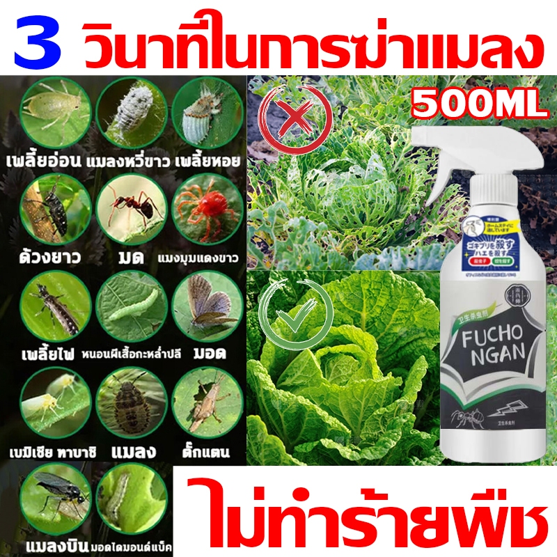 3 วินาทีในการฆ่าแมลง ยากำจัดแมลงพืช 500ML ยาฆ่าแมลง ไม่ทำร้ายพืช ยากำจัดเพลี้ย ยาฆ่าเพลี้ย หนอน มด เกษตร สวน เพลี้ยไฟ