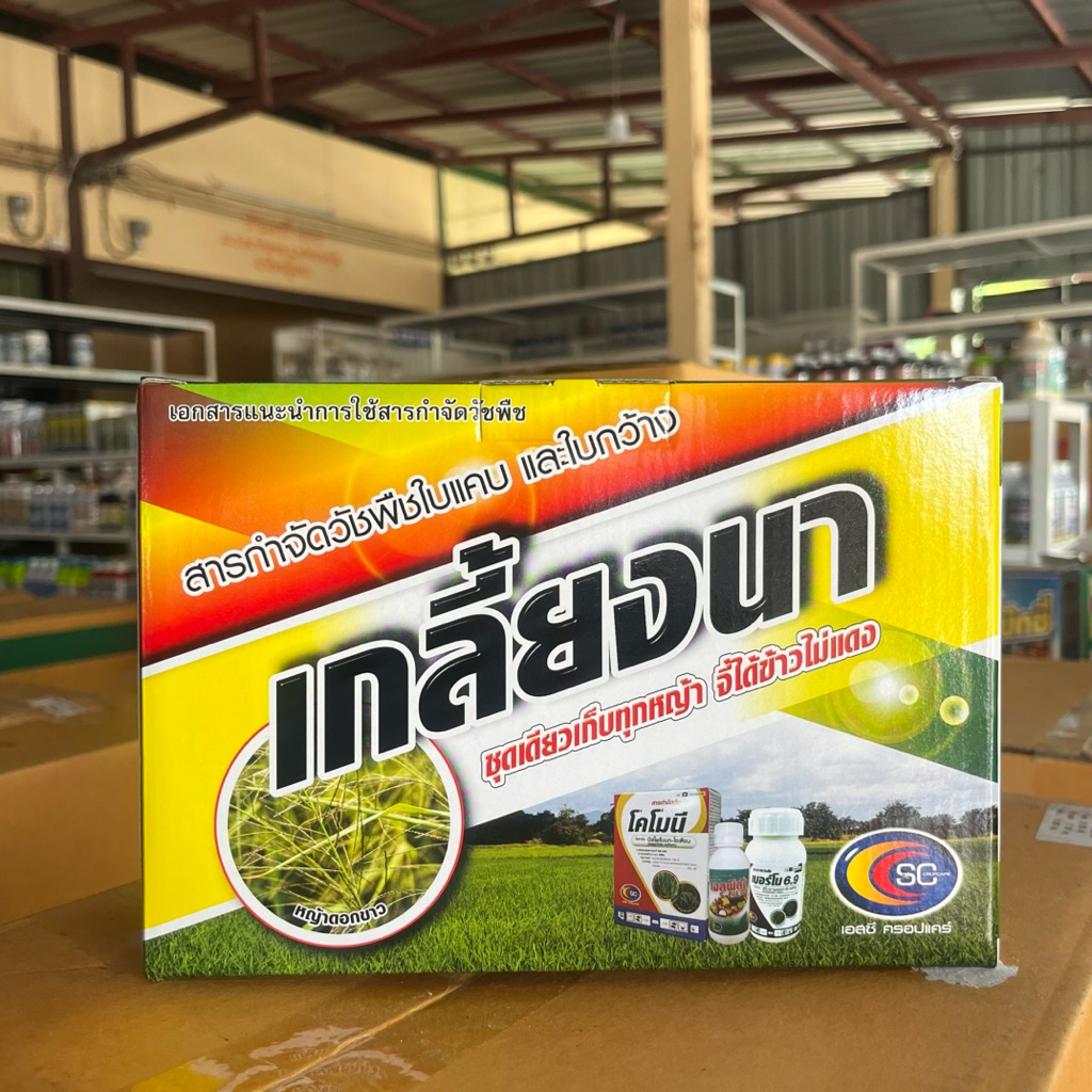 👩🏻‍🌾 เกลี้ยงนา (สูตรพิเศษ) กำจัดหญ้าข้าวนก ดอกขาว กระดูกไก่ ตระกูลกก และใบกว้าง / SC