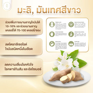 (เซต3+3แถมแก้ว)ชาลิลลี่ป่า🇳🇱มีอย. สูตรพรีเมี่ยมลดไvมัน แขนขา หน้าท้อง ลดคอเลสเตอรอล ลดบวมเร่งด่วน‼️ ไม่เห็นผลคืนเงิน💯