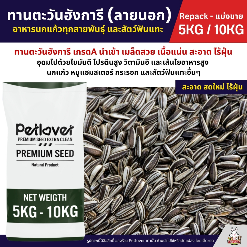 (5KG/10KG) ทานตะวันฮังการี (ลายนอก) เกรดA เม็ดเล็ก อาหารนกแก้ว และสัตว์ฟันแทะ สะอาด ร่อนฝุ่นทุกถุง