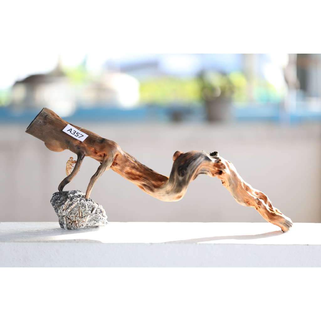 ขอนไม้ Set A357  Natural Wood