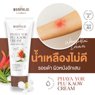 ครีมพญายอ พลูคาว ลดคันสะเก็ดเงิน คันสังฆัง ลดผื่นคัน แก้ปัญห…