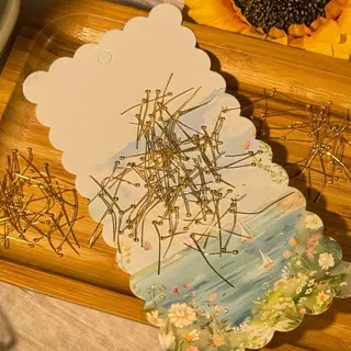 หมุดพินหัวกลม หมุดสแตนเลส 100 ชิ้น ขนาด24 มิล DIY