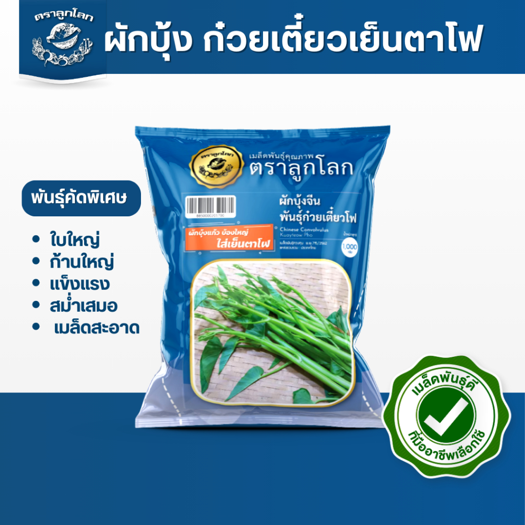 ตราลูกโลก เมล็ดผักบุ้งก๋วยเตี๋ยวเย็นตาโฟ Morning glory เมล็ดพันธุ์ผัก ผักสวนครัว ผักซอง ลูกโลก ขนาด 1000 กรัม