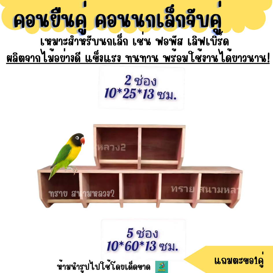 คอนยืนคู่ คอนนกเล็กจับคู่