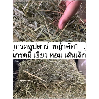 📌ขายขาดทุน 6 เดือน📌ทิมโมธี ยกฟ่อน เกรดลัคชูรี่ 25-29กก