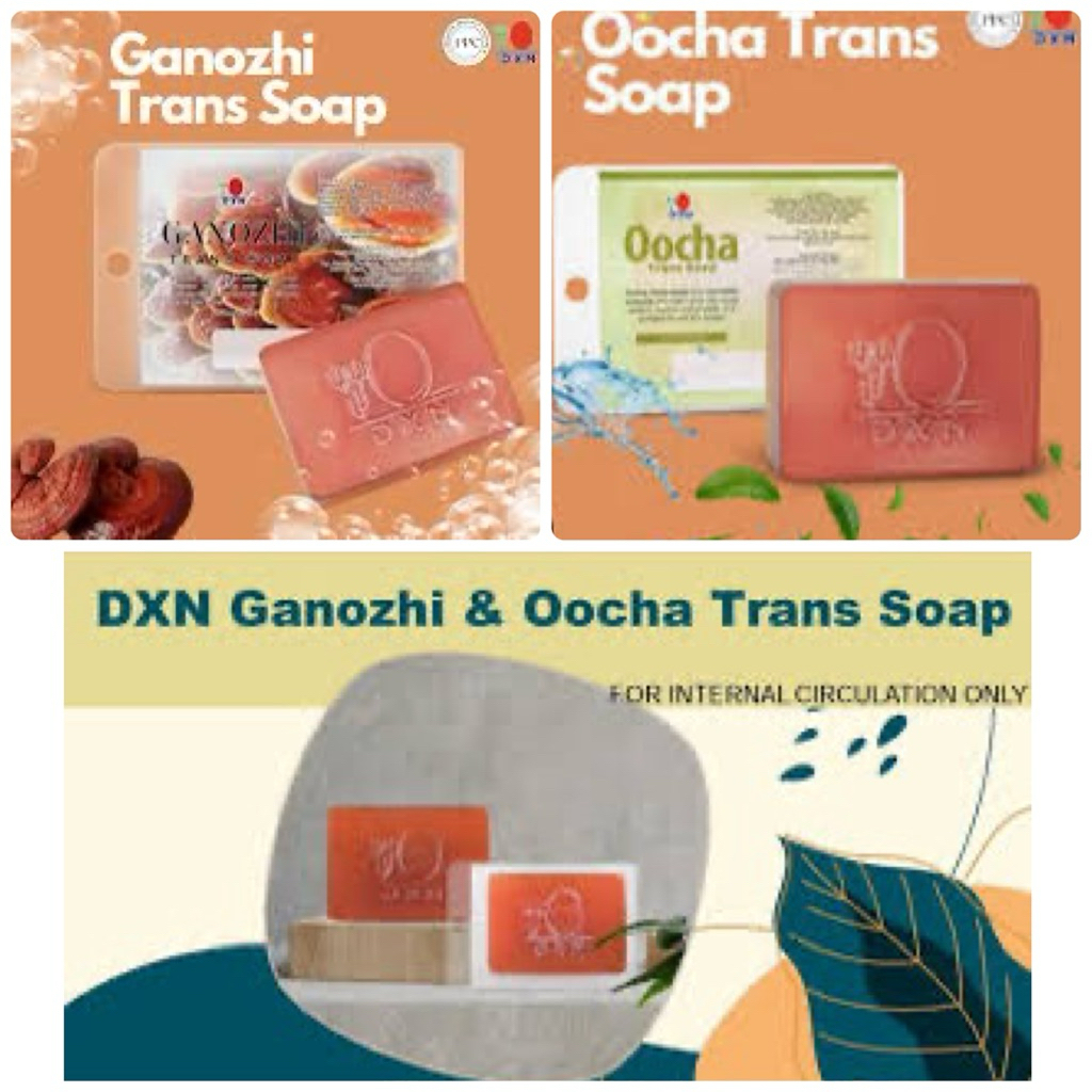 สบู่ DXN Ganozhi Trans Soap และสบู่ DXN Oocha Trans Soap
