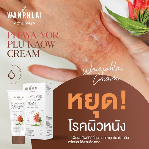 ครีมพญายอ พลูคาว ลดคันสะเก็ดเงิน คันสังฆัง ลดผื่นคัน แก้ปัญหาน้ำเหลืองเสีย